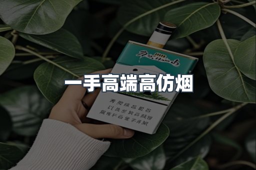 一手高端高仿烟